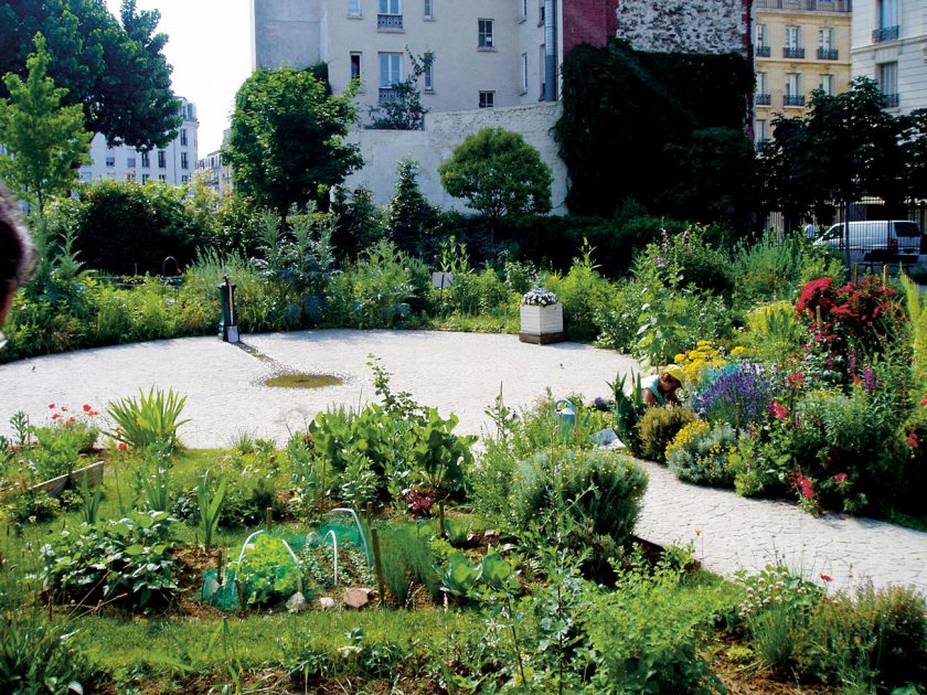 Ateliers de jardinage et programmation estivale au Jardin21 3